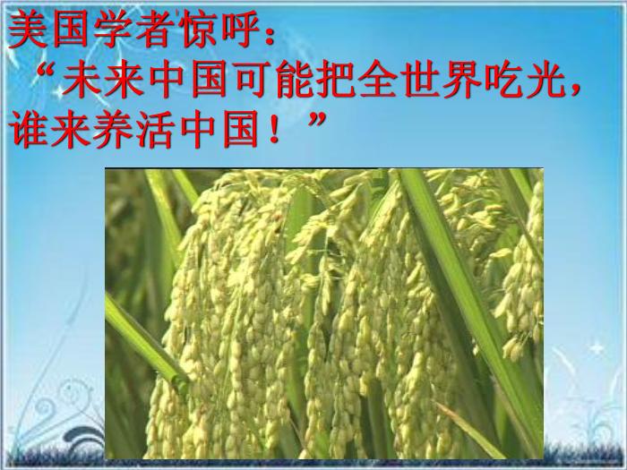 2016粵教版語文選修第4課 在尋找“野敗”的日子 ppt課件2